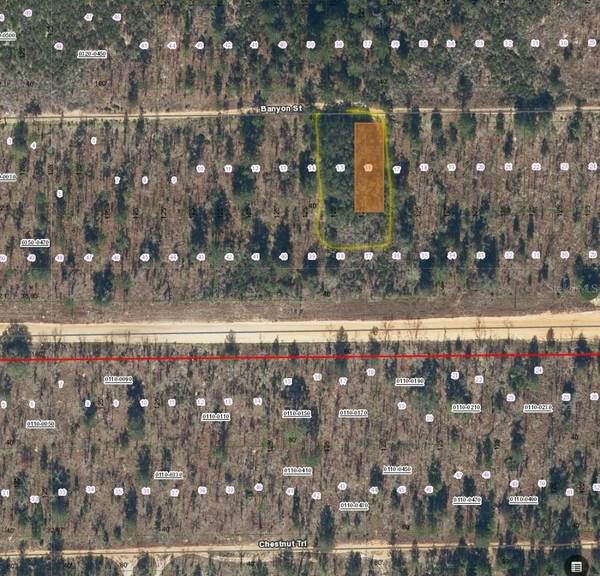 TBD BANYAN STREET, Interlachen, FL 32148