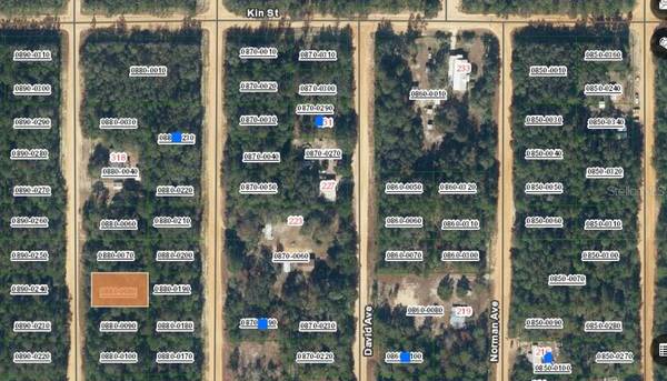 Lot 8 DEL MONACO AVE, Interlachen, FL 32148