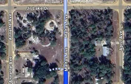 00 MALTAS AVE, Interlachen, FL 32148