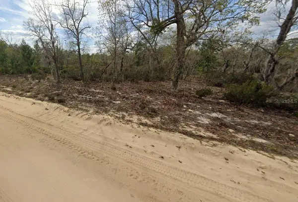 00 APRIL AVE, Interlachen, FL 32148