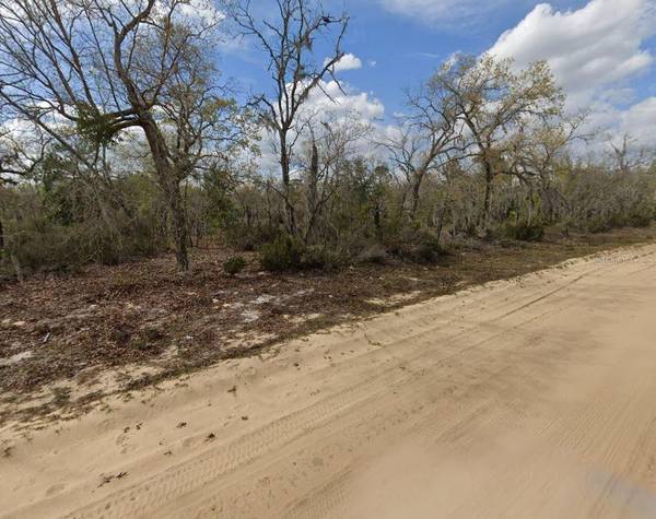 00 APRIL AVE, Interlachen, FL 32148