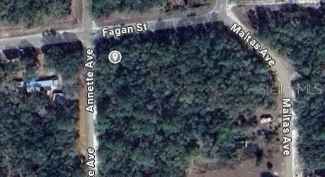 00 ANNETTE AVE, Interlachen, FL 32148