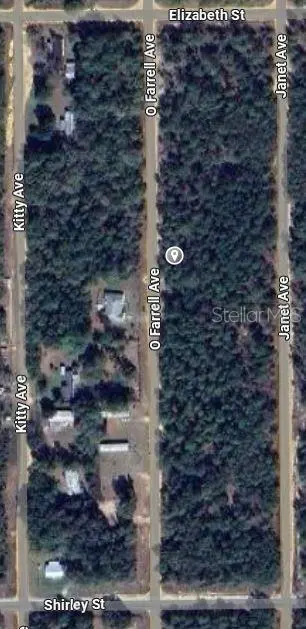 O FARREL AVE, Interlachen, FL 32148