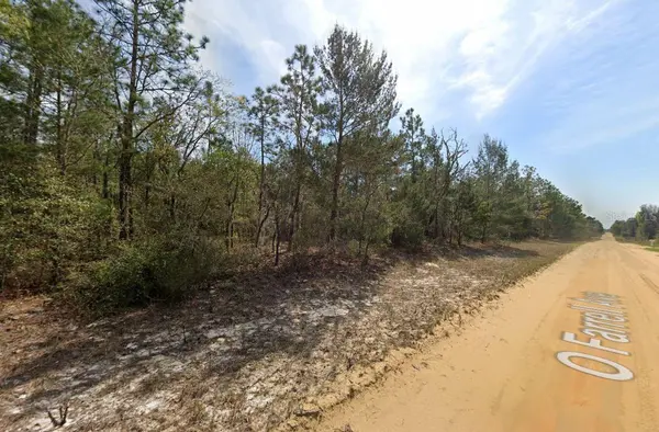 O FARREL AVE, Interlachen, FL 32148