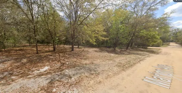 MARION AVE, Interlachen, FL 32148