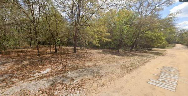 MARION AVE, Interlachen, FL 32148
