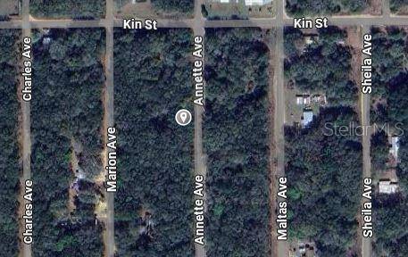 ANNETTE AVE, Interlachen, FL 32148