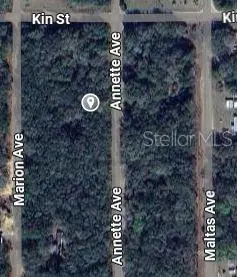 ANNETTE AVE, Interlachen, FL 32148