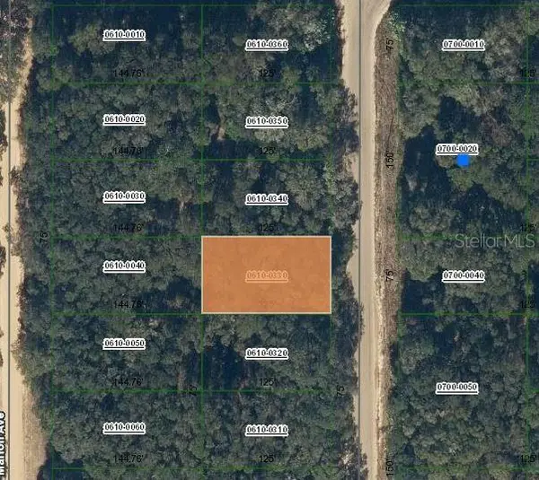 ANNETTE AVE, Interlachen, FL 32148