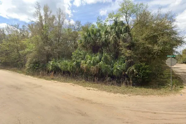 ANNETTE AVE, Interlachen, FL 32148