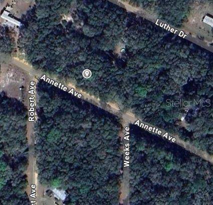 ANNETTE AVE, Interlachen, FL 32148