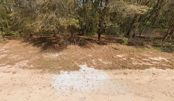 ANNETTE AVE, Interlachen, FL 32148