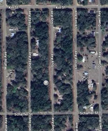 GUY AVE, Interlachen, FL 32148