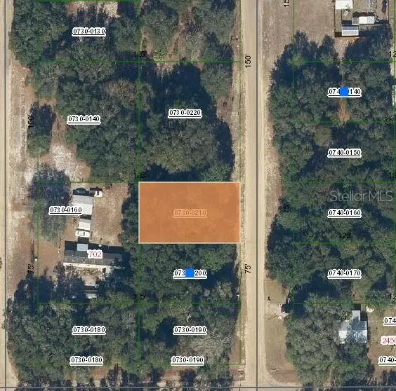 LENORE AVE, Interlachen, FL 32148