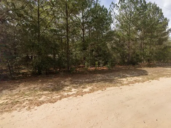 LENORE AVE, Interlachen, FL 32148