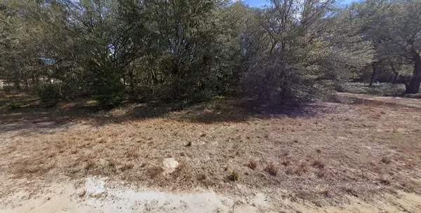00 DENISE ST, Interlachen, FL 32148
