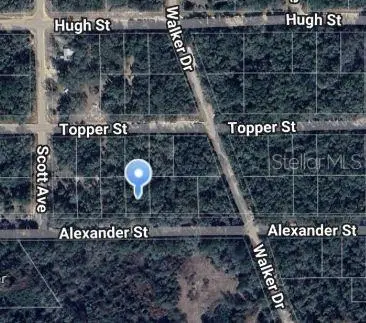 00 ALEXANDER ST, Interlachen, FL 32148