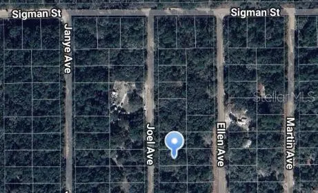 JOEL AVE, Interlachen, FL 32148