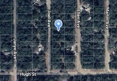 JOEL AVE, Interlachen, FL 32148