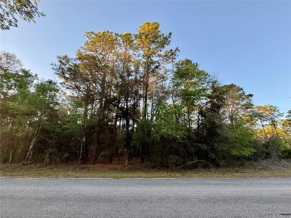 Lot 33 SW 97 PL, Dunnellon, FL 34431