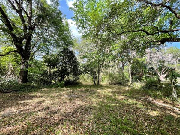 17400 NW 120TH AVE RD, Reddick, FL 32686