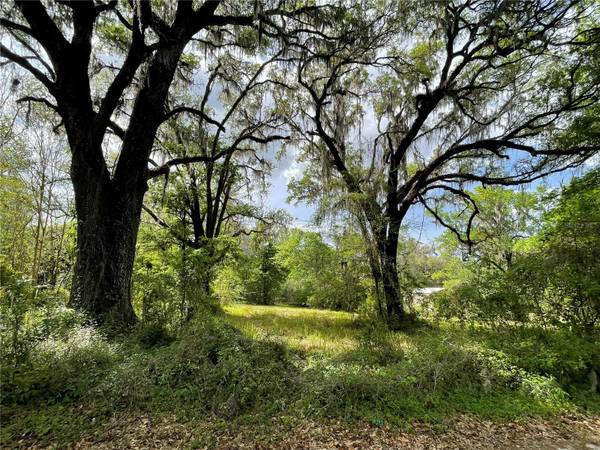 17400 NW 120TH AVE RD, Reddick, FL 32686