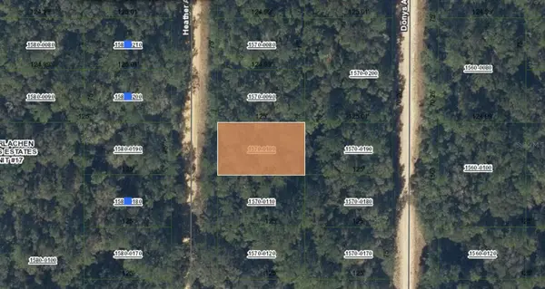 00 HEATHER AVE, Interlachen, FL 32148