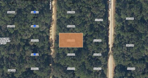 00 HEATHER AVE, Interlachen, FL 32148