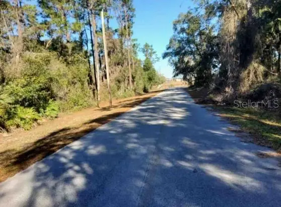 Lot 138 SE 168TH TER, Ocklawaha, FL 32179