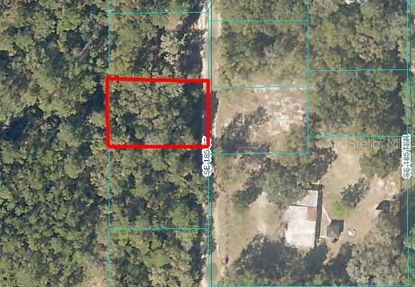 185TH CT, Ocklawaha, FL 32179