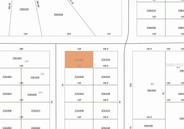 00 LENORE AVE, Interlachen, FL 32148