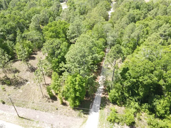 SW 29 LN, Ocala, FL 34481