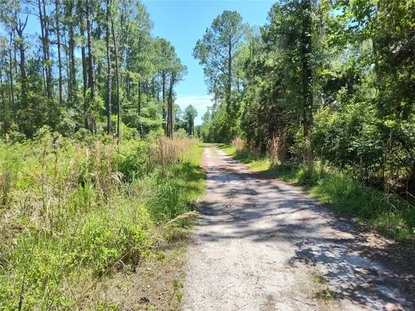 0000 NE 66TH AVE, Citra, FL 32113