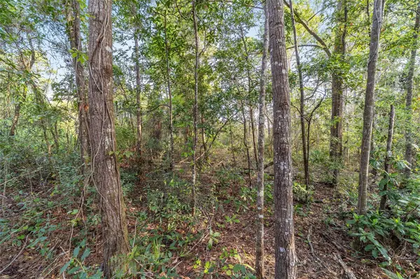 475 FISHER RD, Ocklawaha, FL 32179