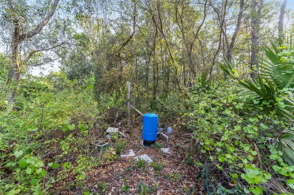 475 FISHER RD, Ocklawaha, FL 32179