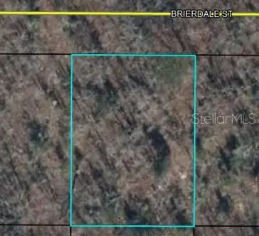 Lot 3 BRIERDALE ST, Chipley, FL 32428