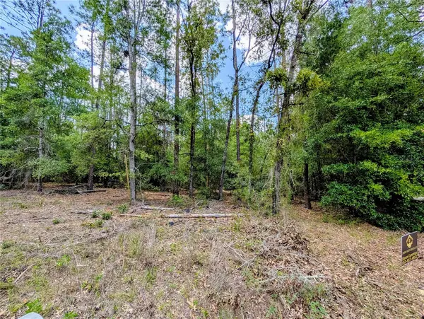 TBD SW 93RD LANE, Dunnellon, FL 34431
