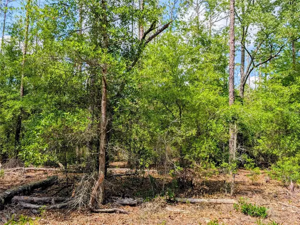 TBD SW 93RD LANE, Dunnellon, FL 34431