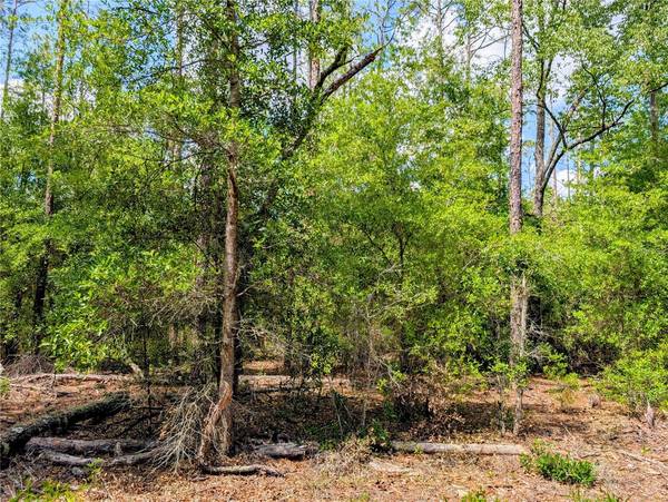TBD SW 93RD LANE, Dunnellon, FL 34431