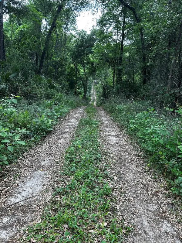 TBD NW 123RD PL, Citra, FL 32113