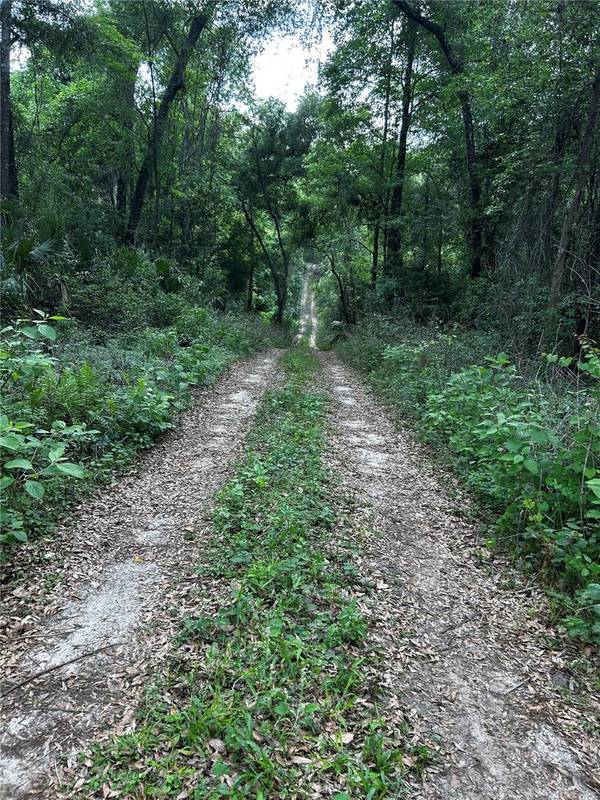 TBD NW 123RD PL, Citra, FL 32113