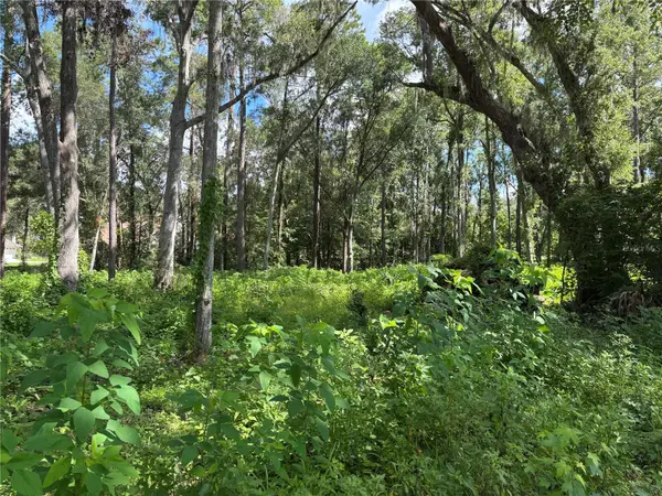 1555 SE 73RD PL, Ocala, FL 34480