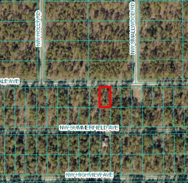 Lot 15 NW HILLSDALE AVE, Dunnellon, FL 34431