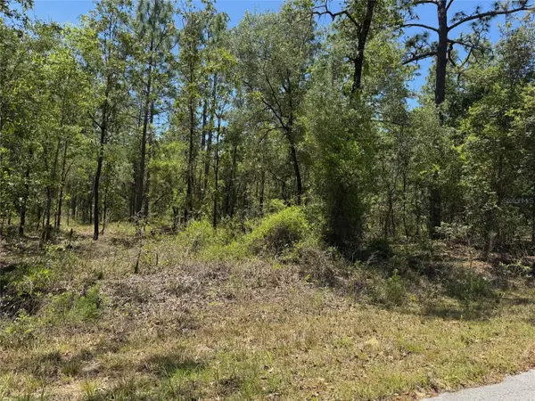 Lot 15 NW HILLSDALE AVE, Dunnellon, FL 34431