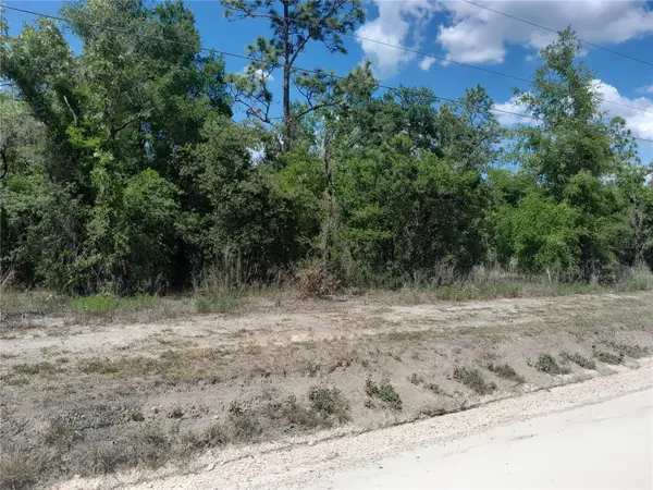 tbd NE 63RD PL, Williston, FL 32696