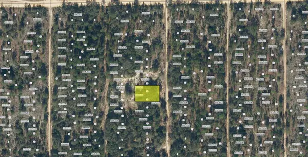 SW 55TH AVE, Interlachen, FL 32148
