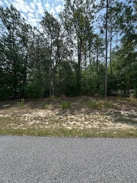 920 W RUM PL, Dunnellon, FL 34434