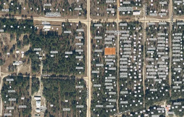 00 SW 59 AVE, Interlachen, FL 32148