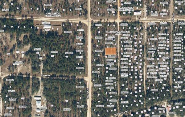 00 SW 59 AVE, Interlachen, FL 32148
