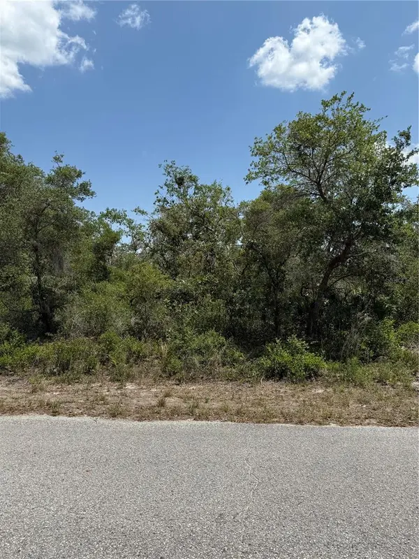 TBD FISHER LOOP #36, Ocklawaha, FL 32179